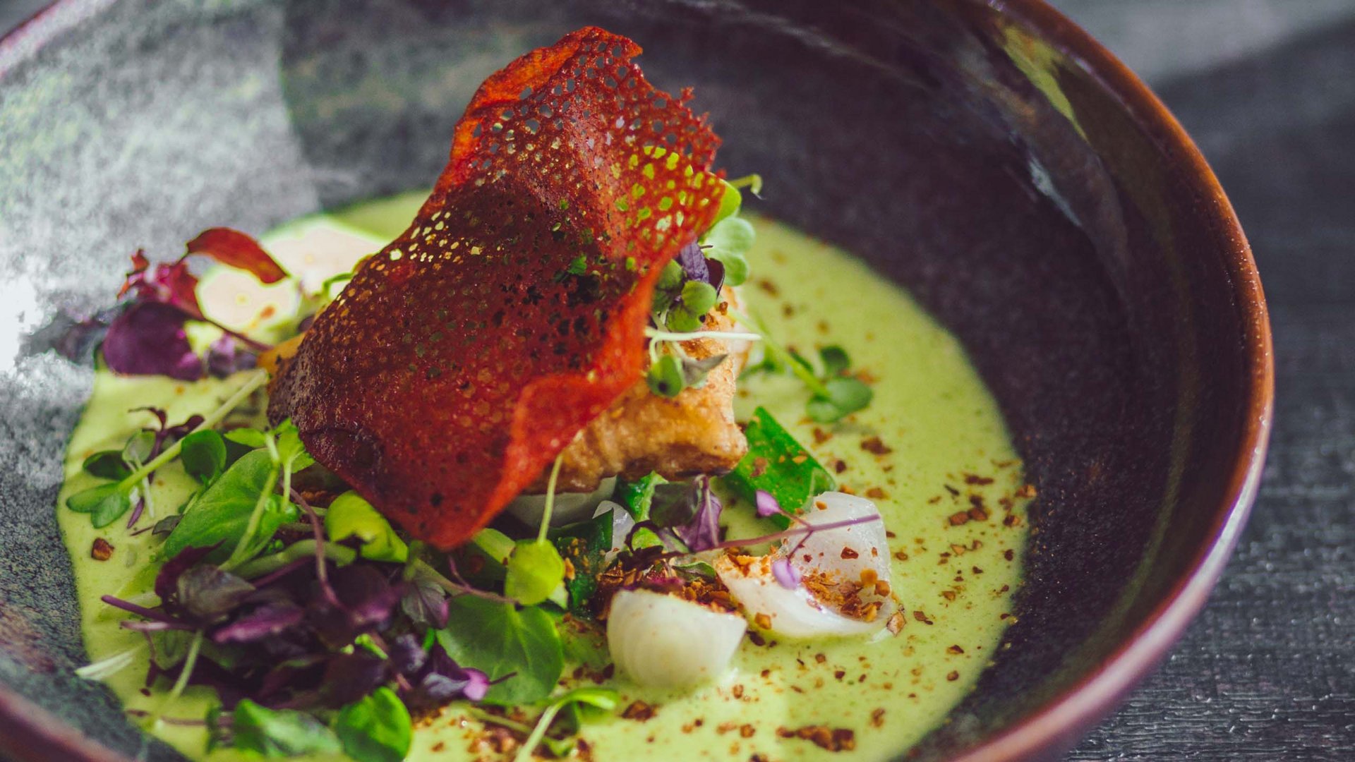 MOHR life resort Bildergalerie Elegantes Gericht mit grünem Püree, roter Chips und Mikrogrün in einer Schale