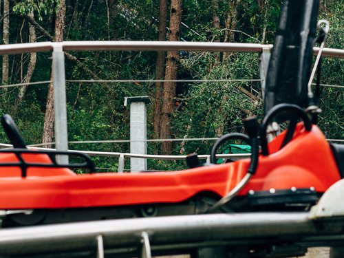 Sehenswürdigkeiten rund um Lermoos Rote Achterbahnwagen auf Schienen im Wald
