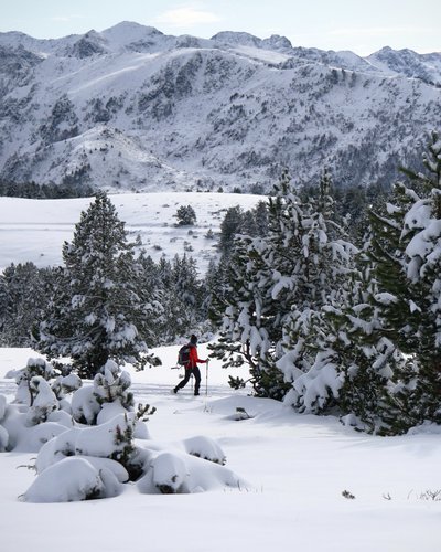 Die Zugspitz Arena – perfekt zum Langlaufen in Lermoos Person wandert mit Stöcken durch verschneite Berglandschaft