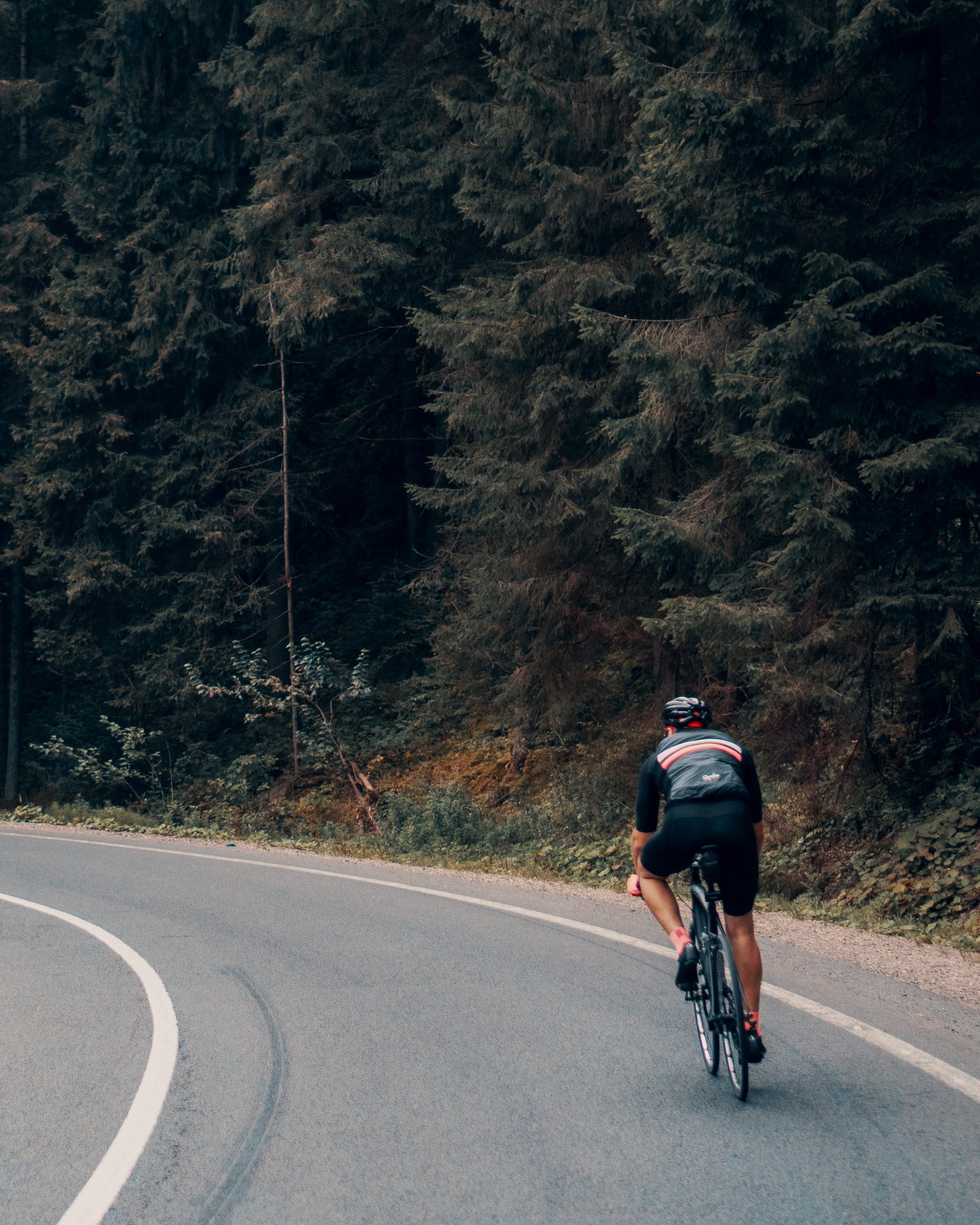 Hoch hinaus beim MTB-Urlaub in Tirol Radfahrer auf kurviger Straße entlang dichter Wälder