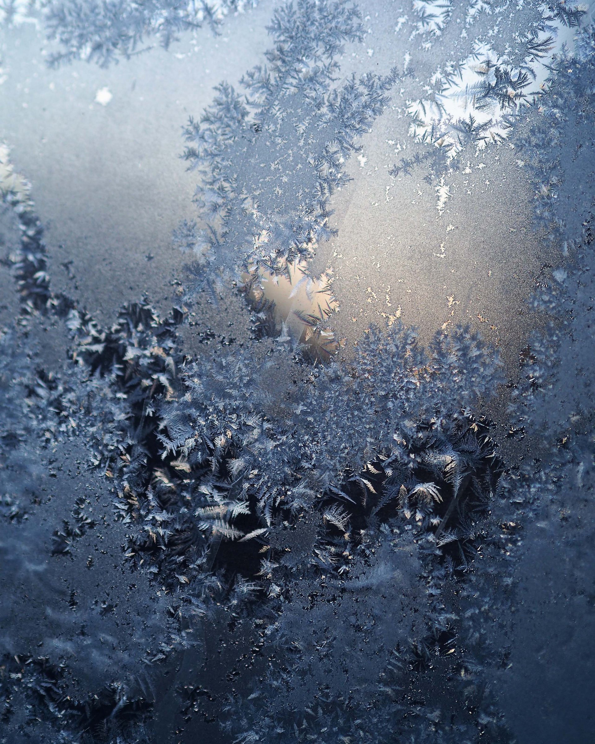 Ein einmaliges Angebot – eistauchen im Blindsee Nahaufnahme von Frostmustern auf einer Fensterscheibe