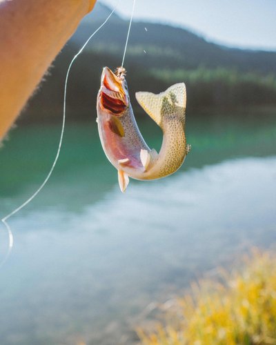 Fischerfun in Lermoos Ein gefangener Fisch wird an einer Angelrute über einem See gehalten.