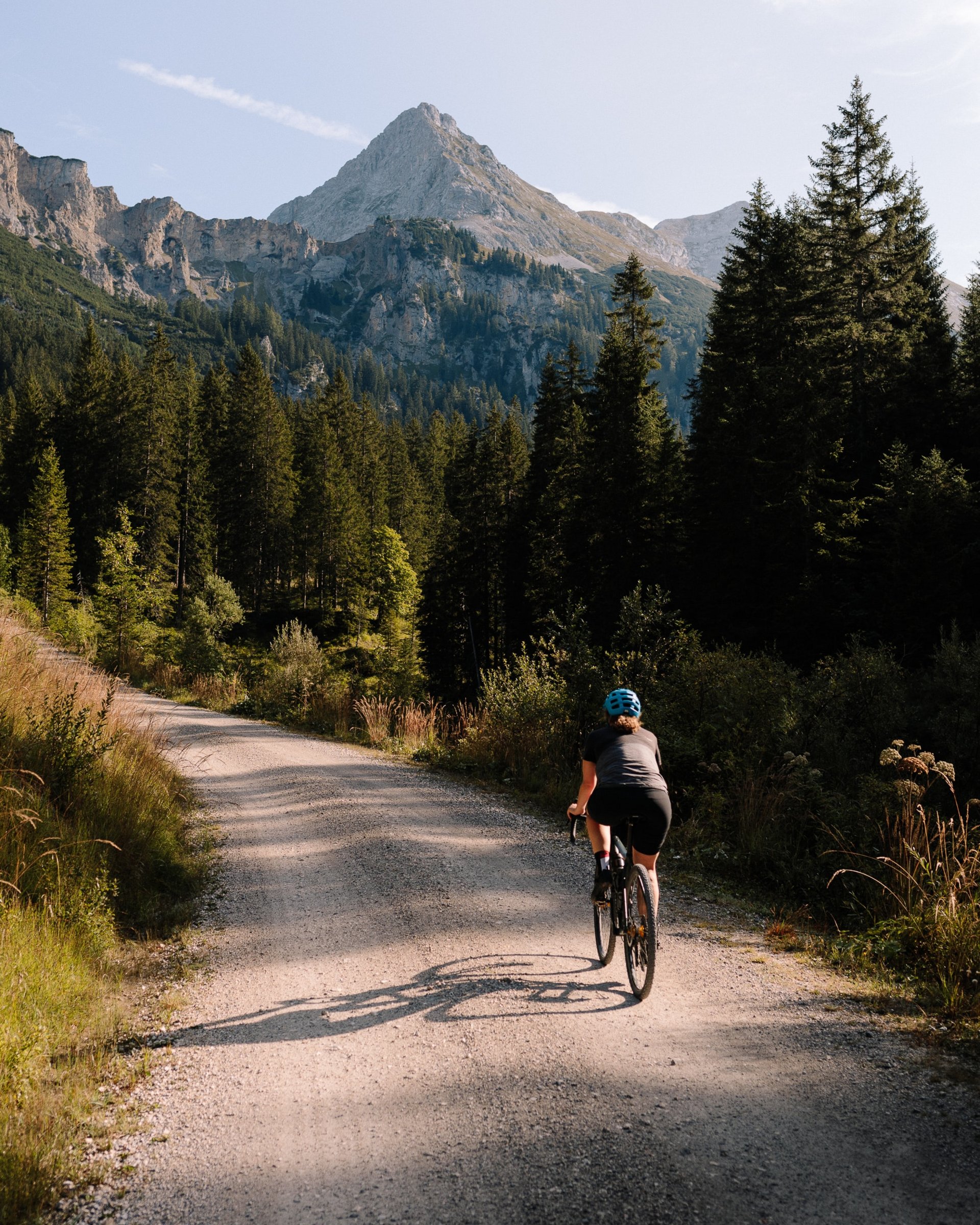 Tour de MOHR Fahrradfahrer auf Bergstraße mit Nadelwald und Berg im Hintergrund