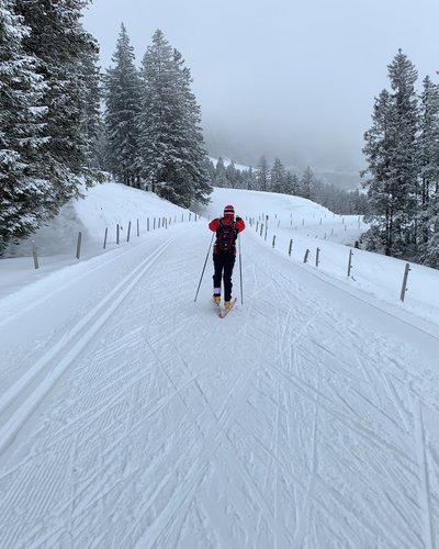 Aktivurlaub in Lermoos in Österreich Langläufer auf verschneiter Straße mit Wald und Nebel im Hintergrund