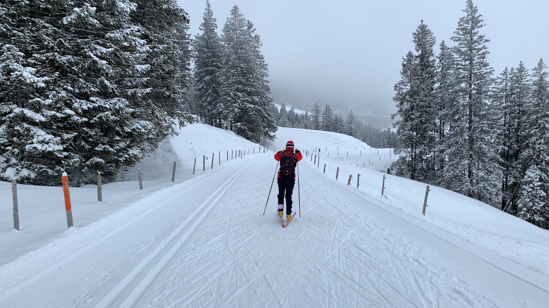 Die Zugspitz Arena – perfekt zum Langlaufen in Lermoos Langläufer auf verschneiter Straße mit Wald und Nebel im Hintergrund