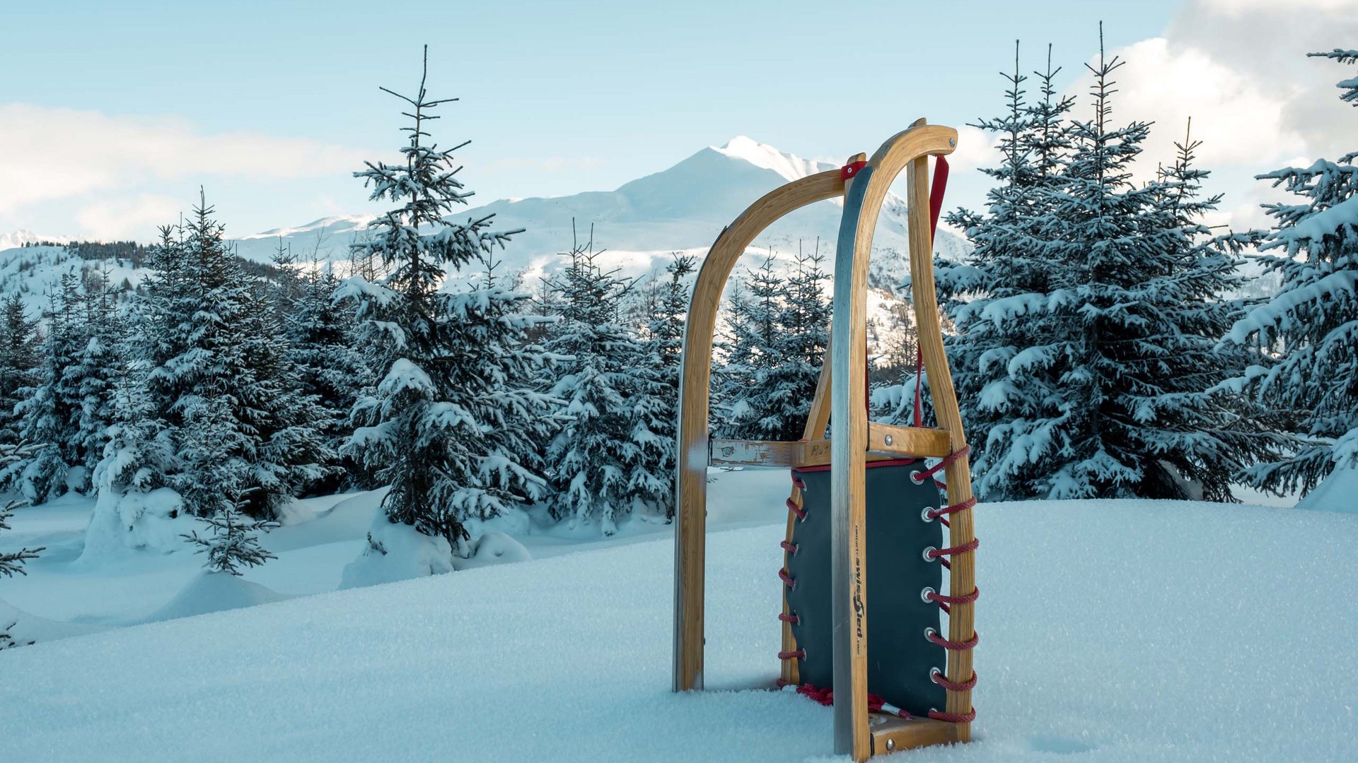 Rodeln in Lermoos – macht Spaß! Schlitten im Schnee vor schneebedeckten Tannen und Bergen