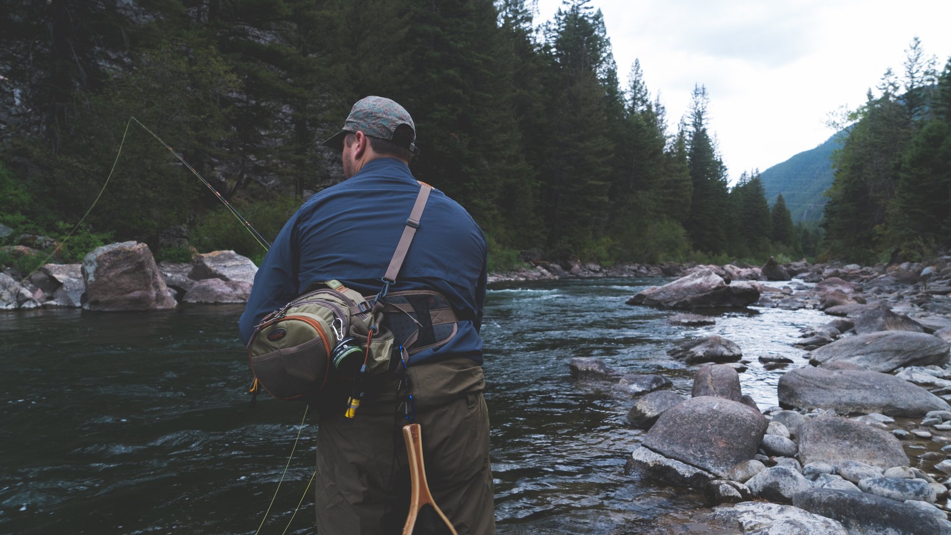 MOHR life resort Bildergalerie Mann beim Fliegenfischen am Bachufer in bewaldeter Berglandschaft